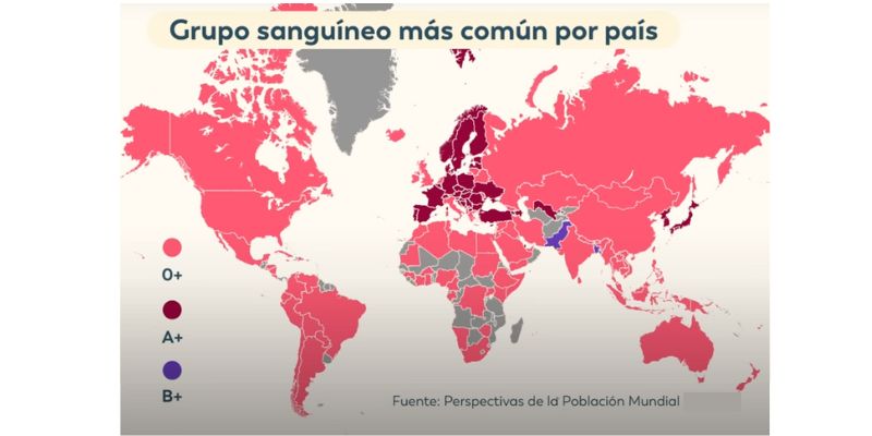 Certificado de Grupo Sanguíneo
