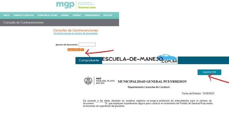 libre de deuda licencia de conducir mar del plata